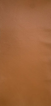 Chanel Cinnamon